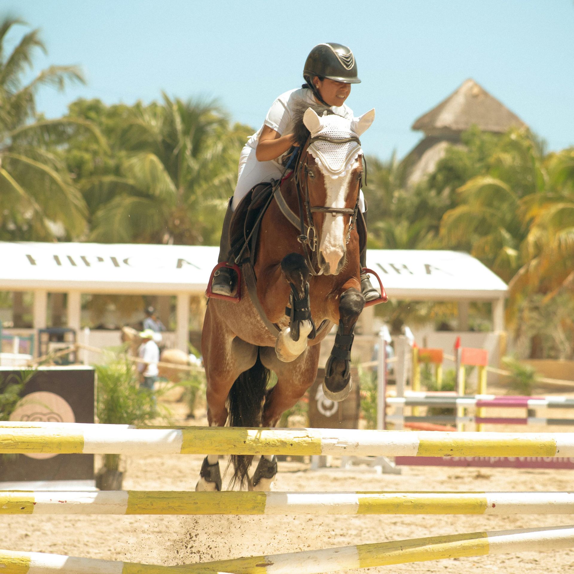 A person on a horse jumping over a yellow-and-white hurdle at an outdoor equestrian event with palm trees in the background.