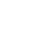 Check Engine and Maintenance Lights Icon