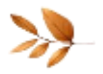 Branche à cinq feuilles brunes.