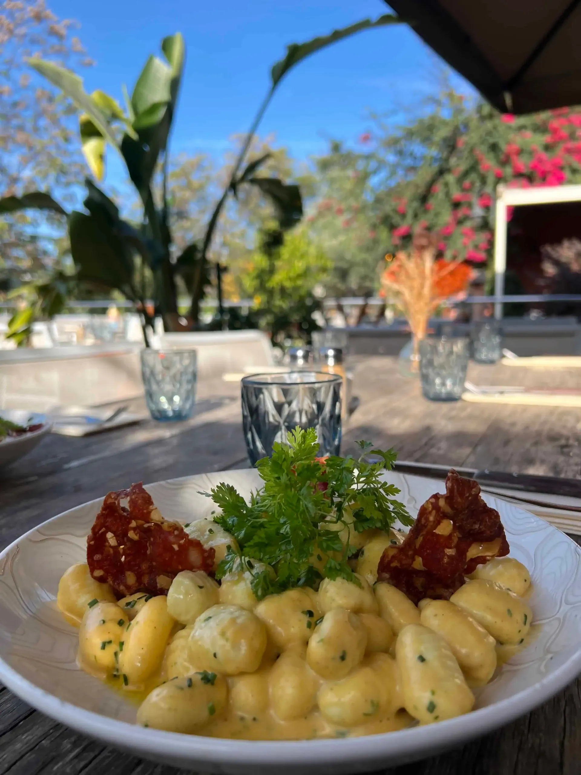 Assiette de gnocchis aux tomates séchées, servis en extérieur sur une table en bois. Arrière-plan flou : arbres et ciel.