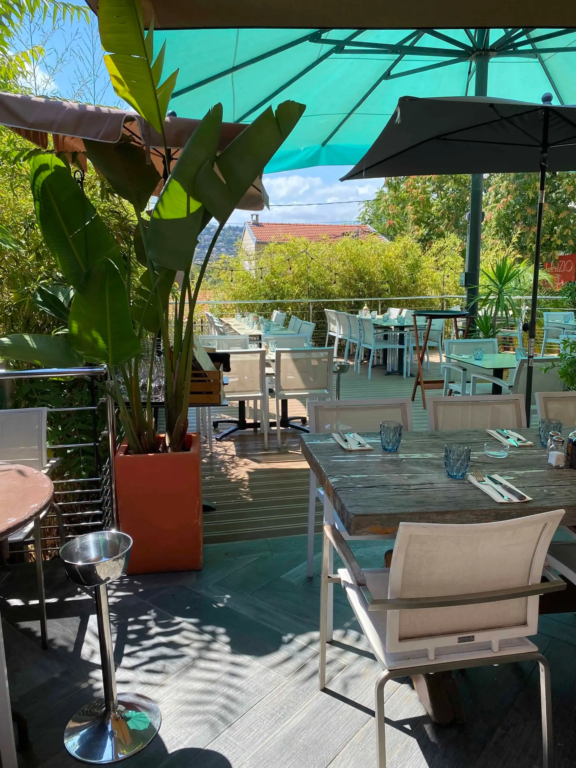 Terrasse de restaurant avec tables, chaises et parasols. Grande plante en pot au premier plan.