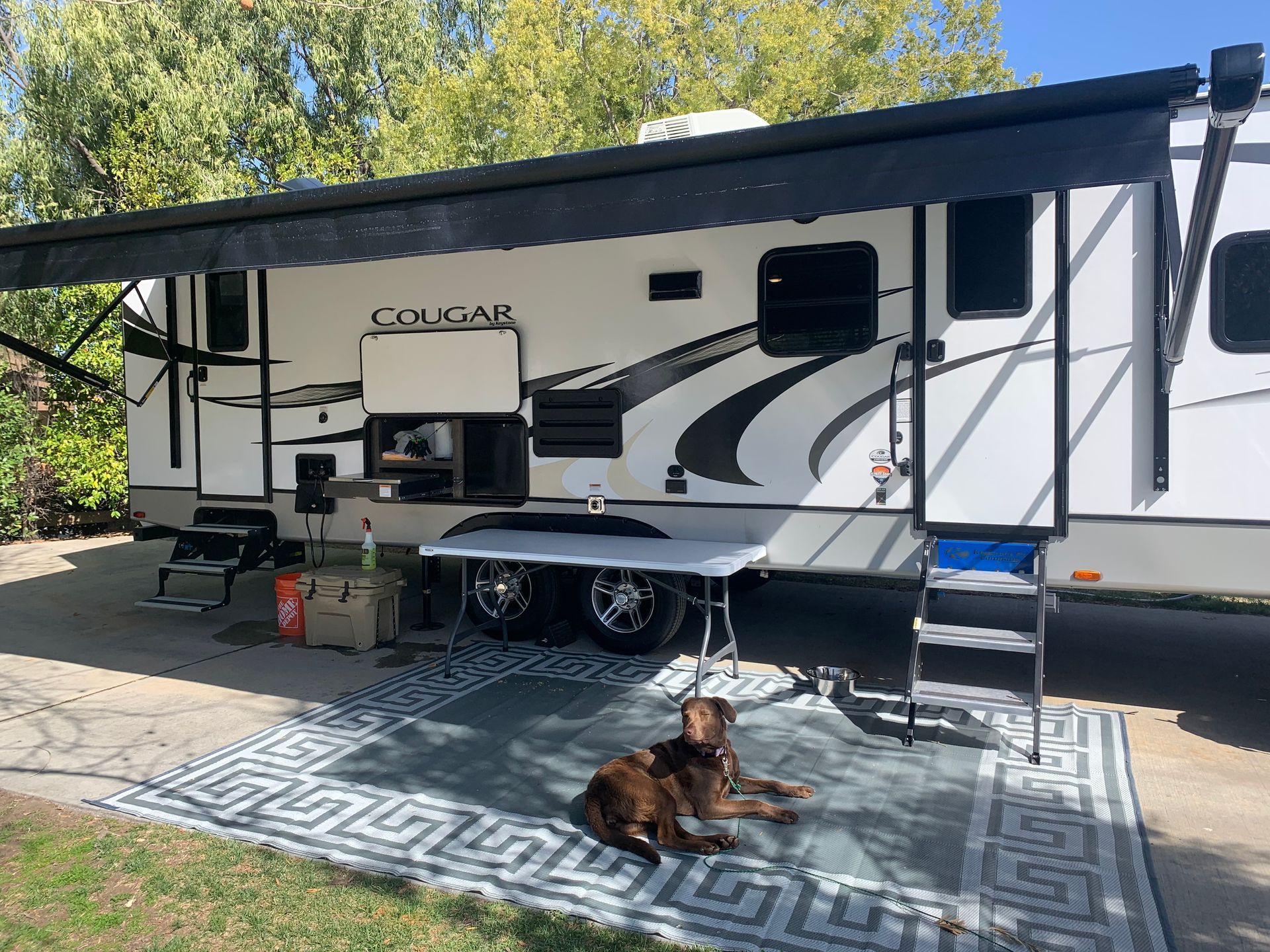 a dog is laying on a rug in front of a rv .