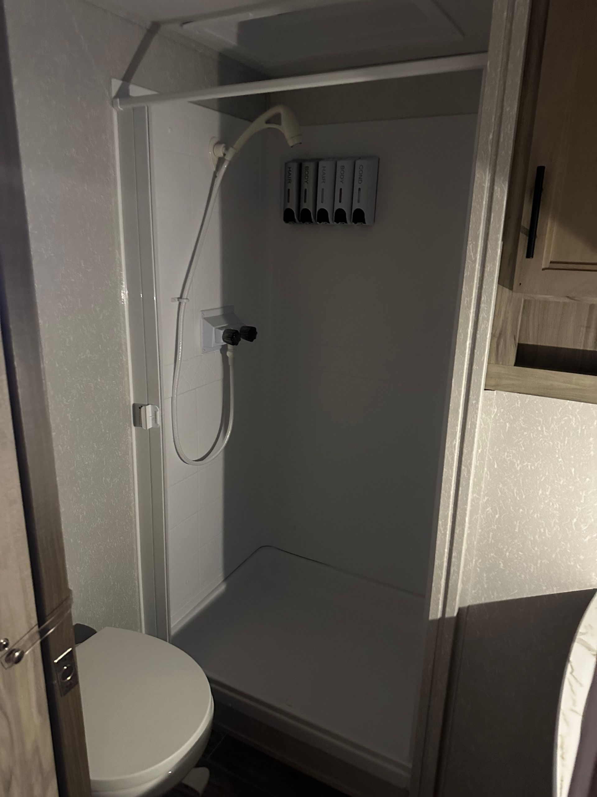 A bathroom with a toilet and a shower.