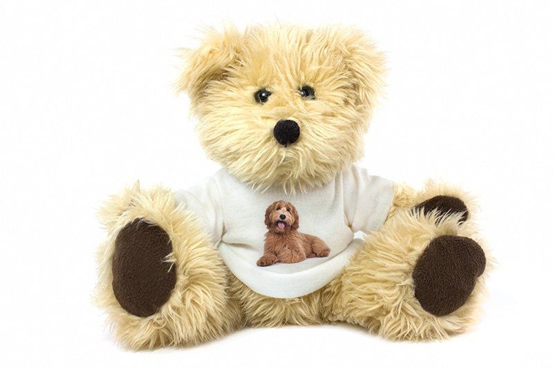 Teddy Bear With Photo Shirts