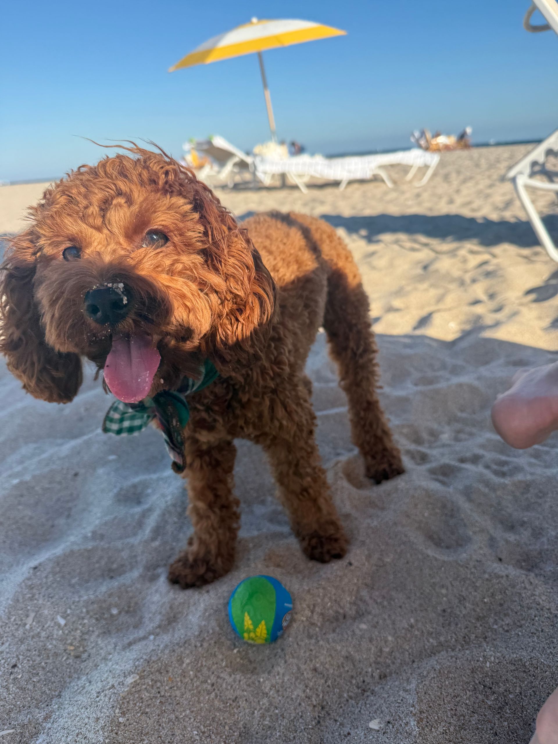 A woman with long hair is smiling and wearing a black shirt.