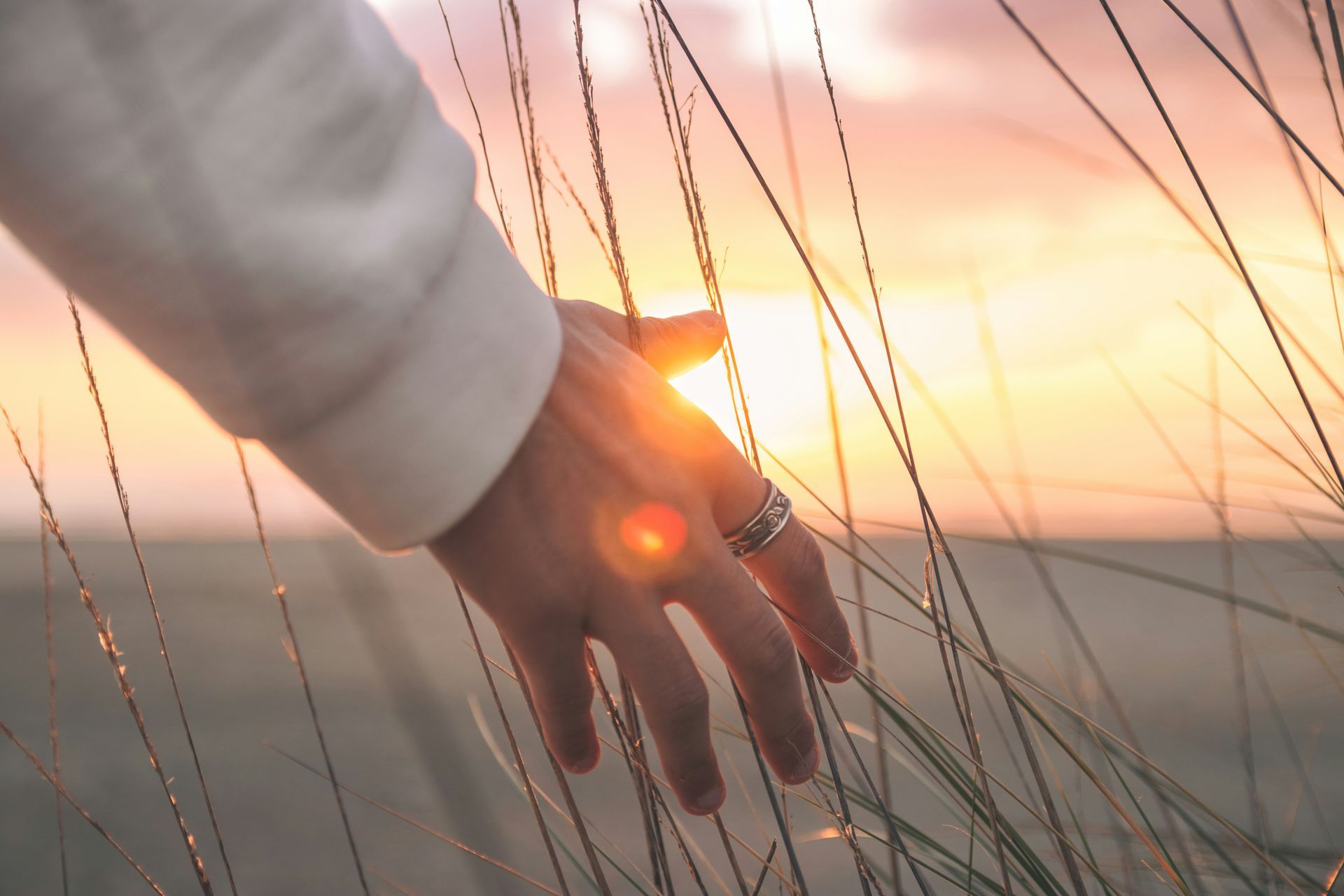 A person 's hand is reaching through a fence at sunset