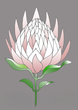 icona fiori