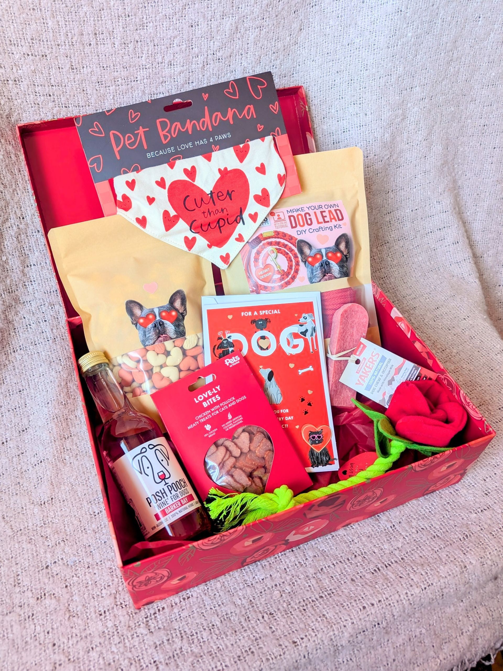 Valentine's Day Giveaway for Dog Lovers