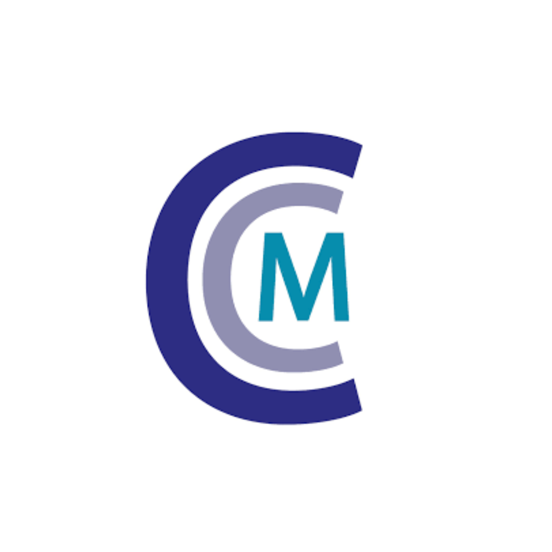 Blue and gray logo with letter 