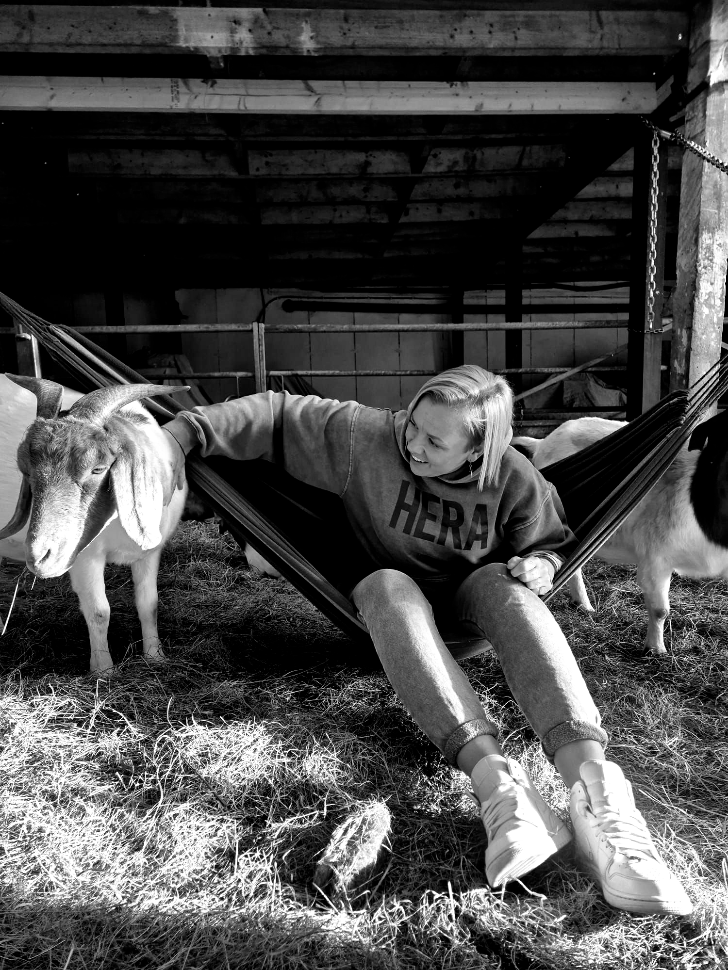Woman in hammock petting goat; other goats in barn.