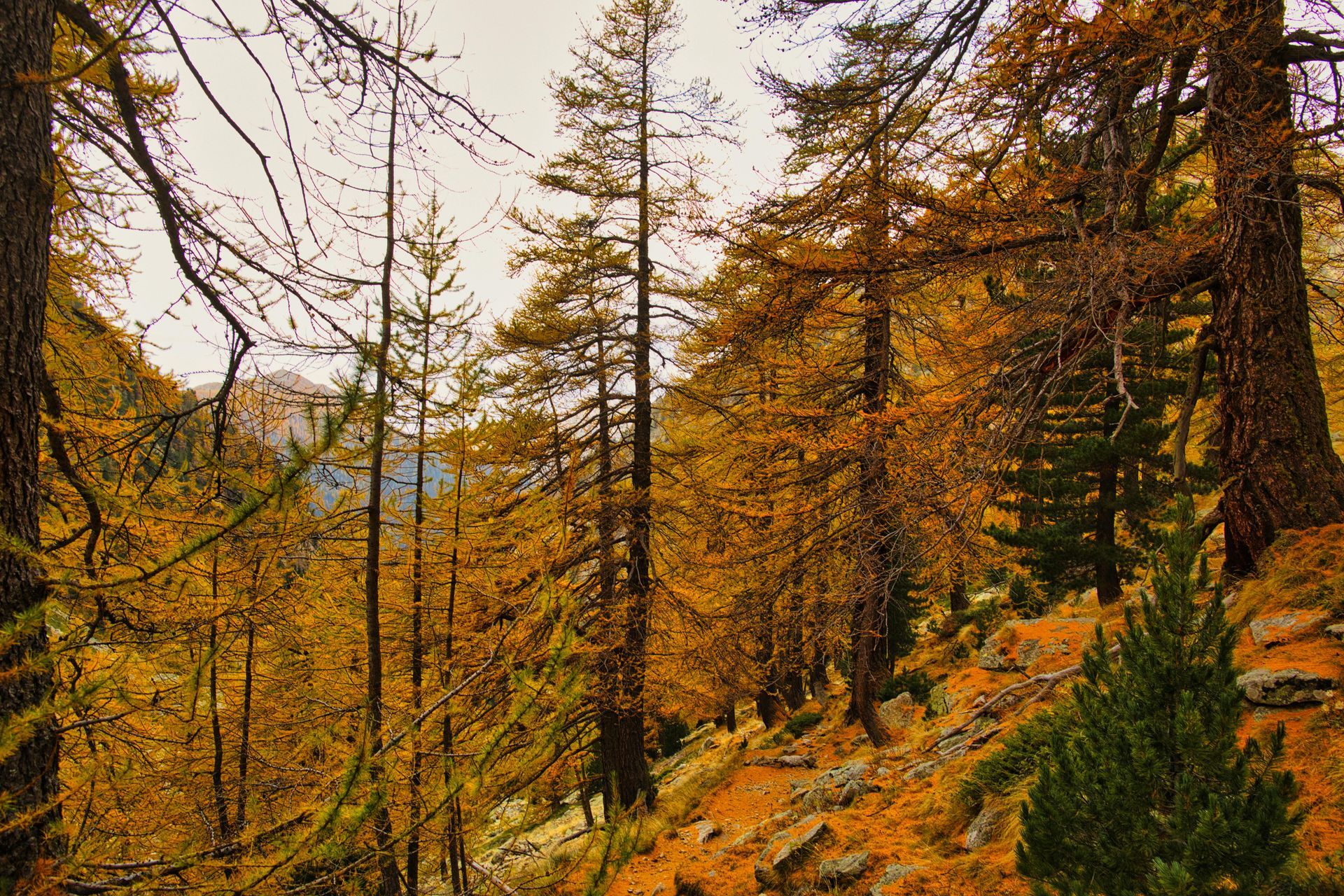 Mercantour en Automne