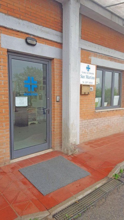 La sede della clinica veterinaria
