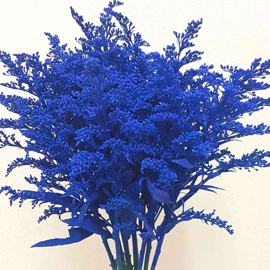 un ramo de flores azules sobre un fondo blanco