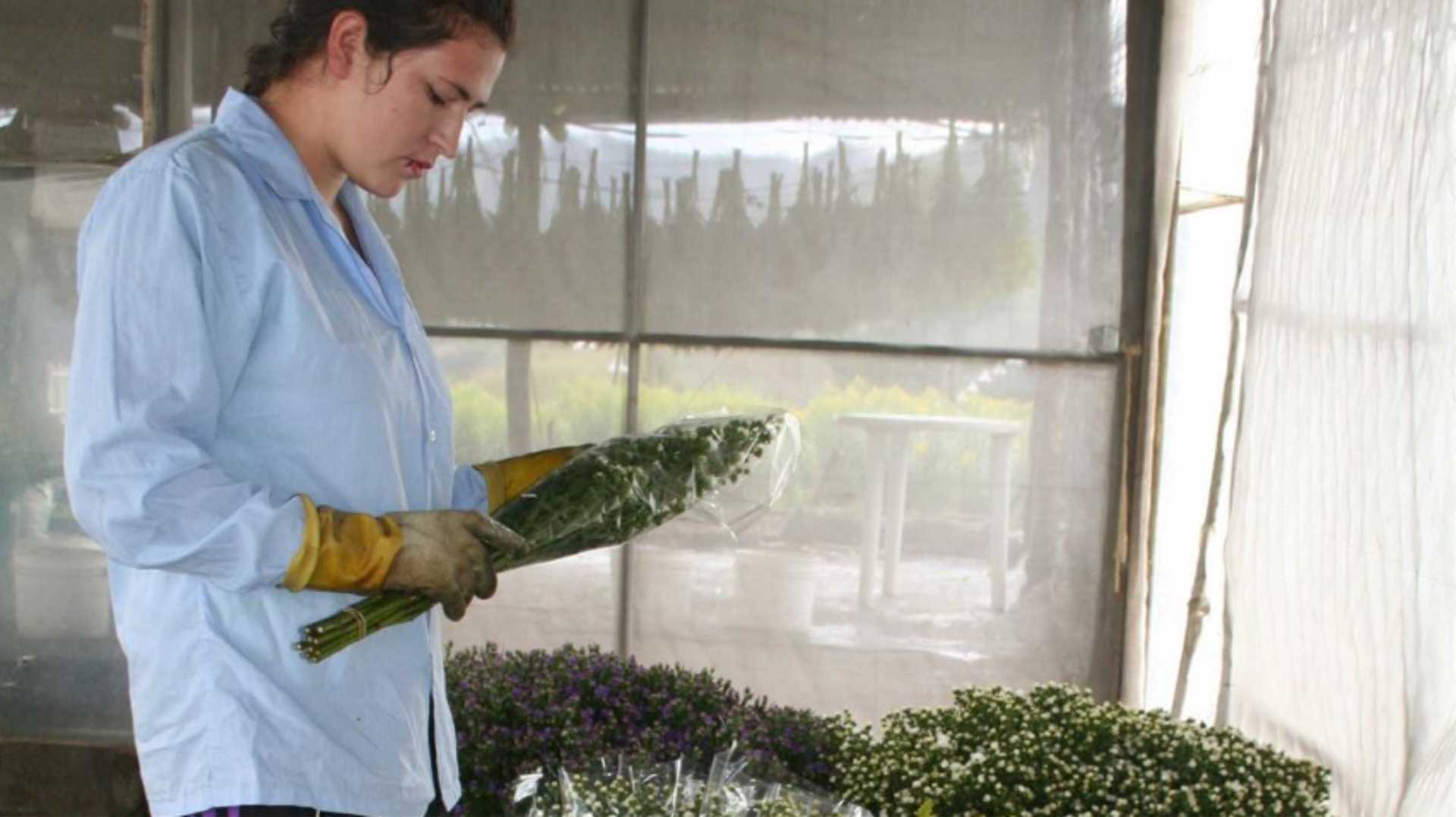 una mujer está parada en un invernadero sosteniendo un ramo de flores.