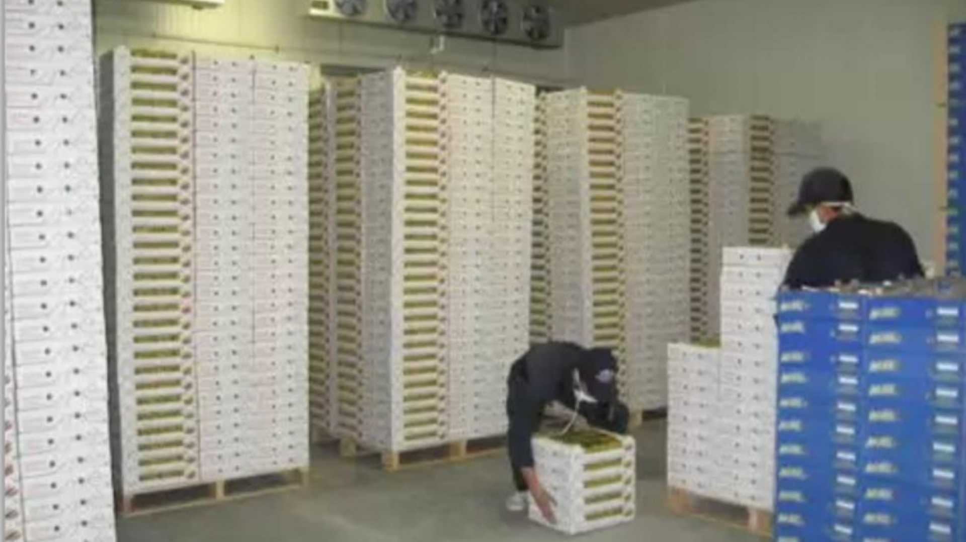 Un hombre está arrodillado en una habitación llena de cajas.