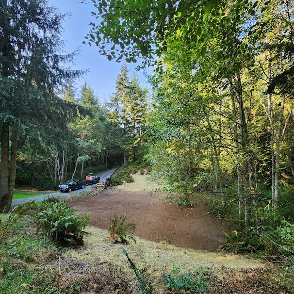 A clearing in a forest, with cars on a road. Green foliage surrounds the bare ground.
