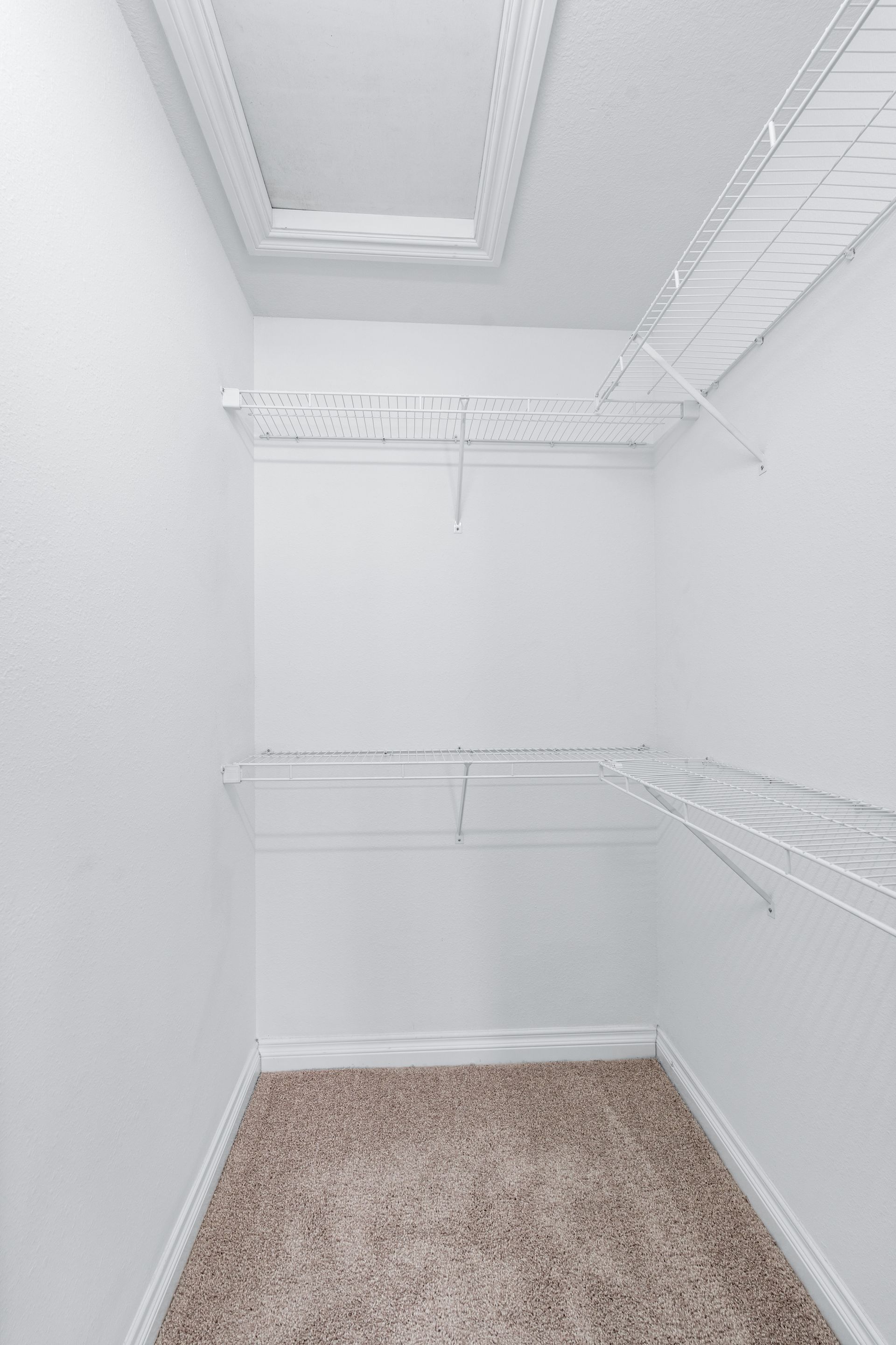 Empty, white-walled closet with wire shelving and a beige carpet.