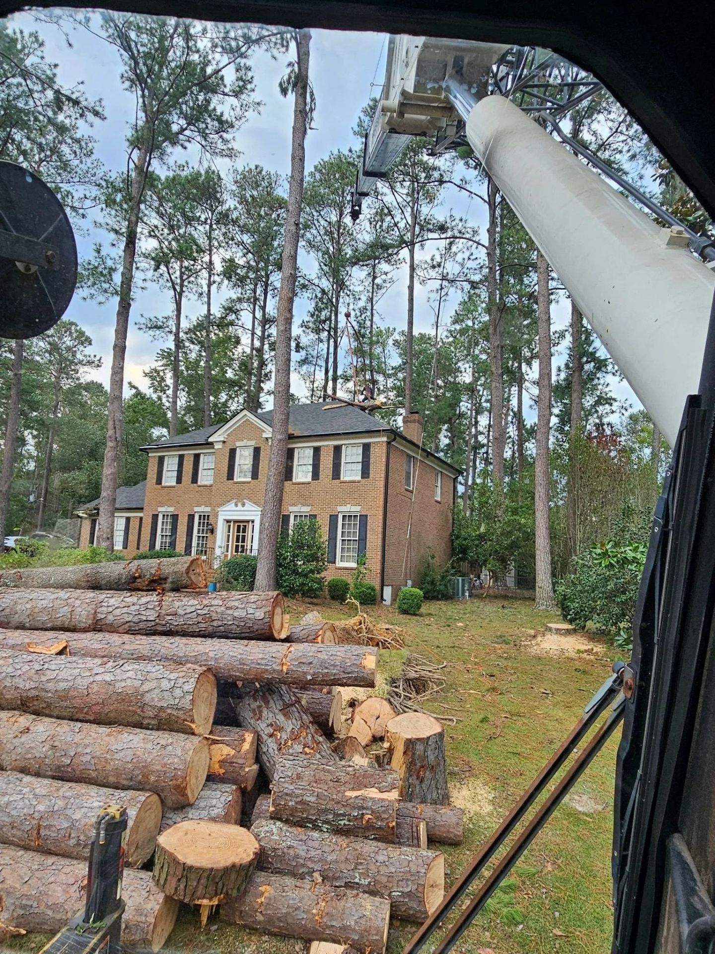 Logs piled in front of a brick house; a crane cuts trees.