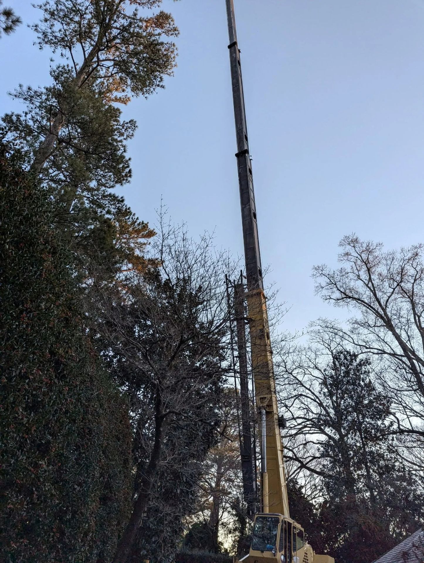 Yellow crane lifting something among trees against a blue sky.