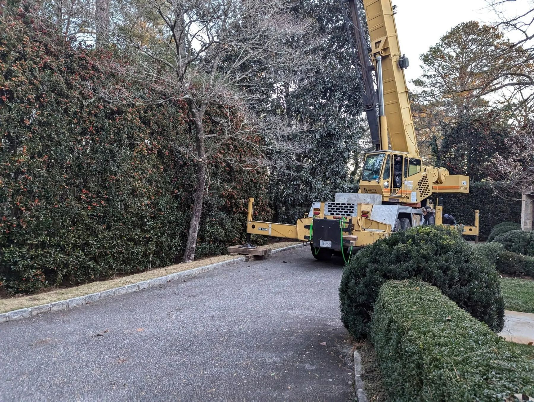 A yellow crane next to a dense green hedge on a gravel driveway.