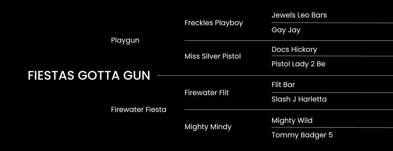 Fiestas Gotta Gun Pedigree
