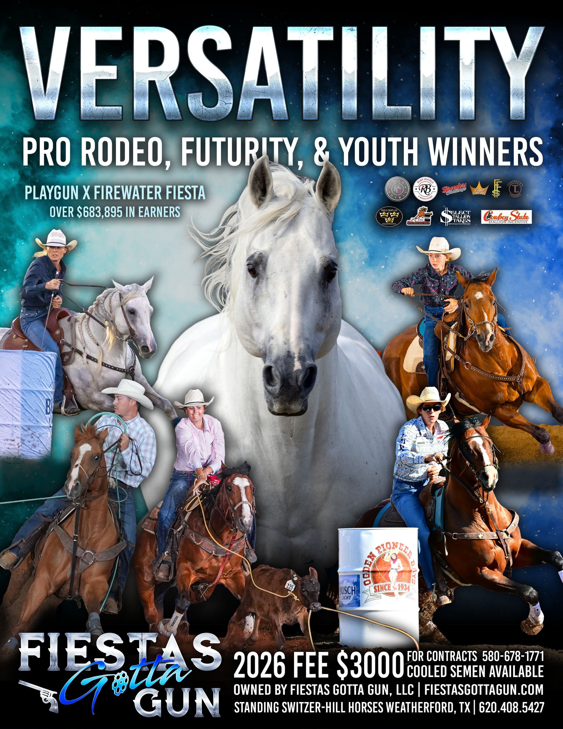 Fiestas Gotta Gun Flyer