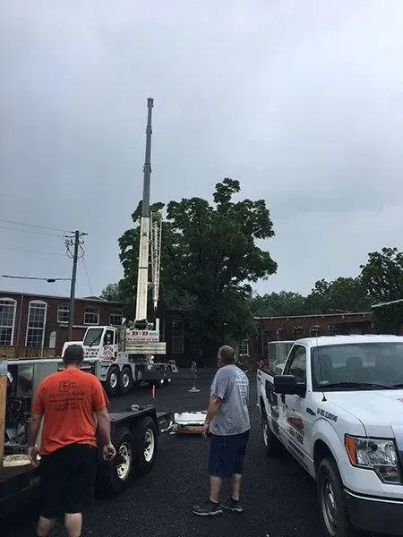 Crane lifting equipment near a large tree, two men watch near a white truck. Overcast sky.