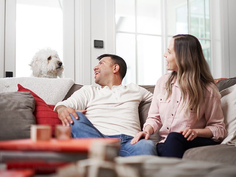 Couple on couch looking at fluffy white dog on the window sill.