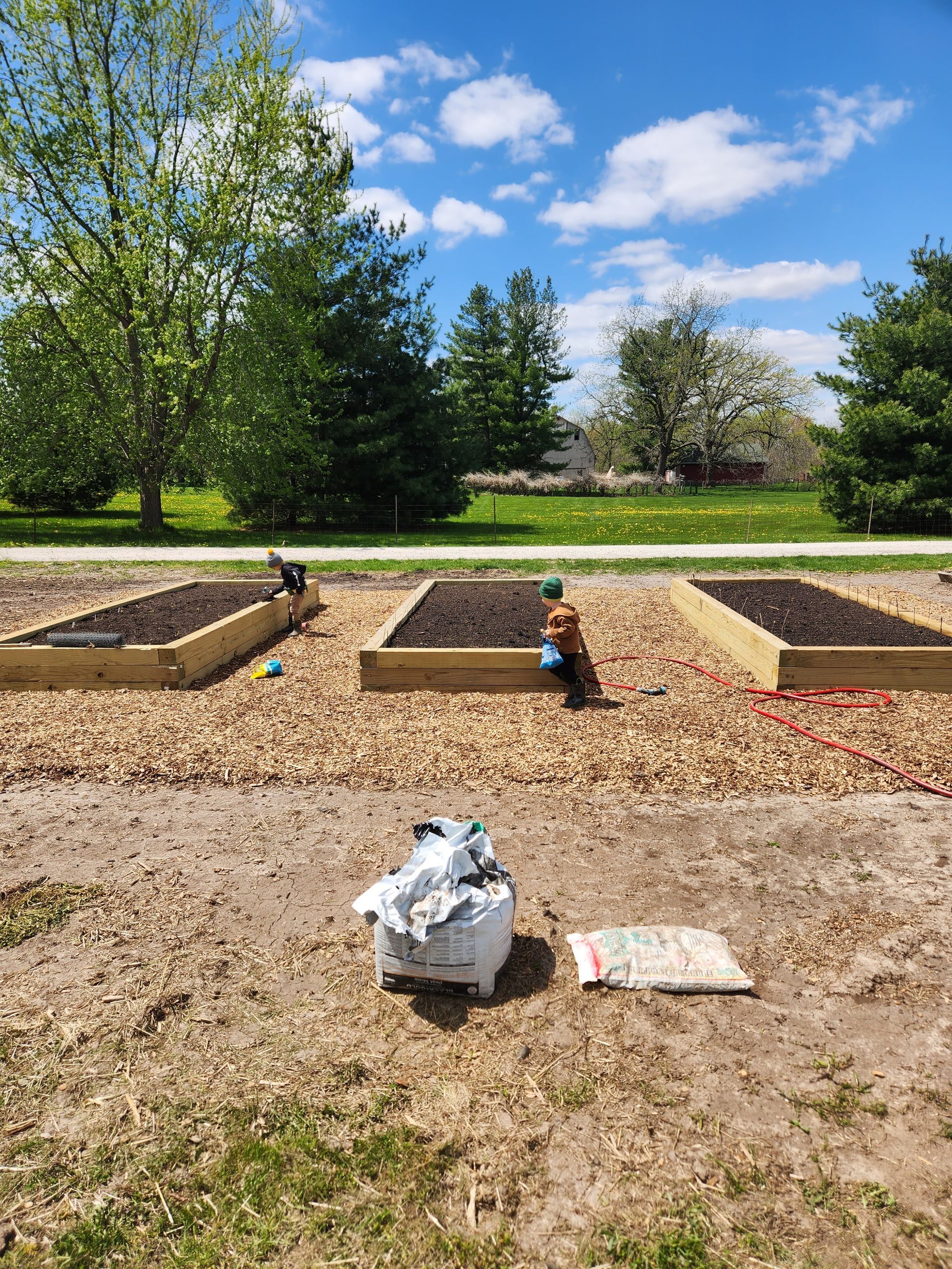 Three raised garden beds with people gardening on a sunny day.