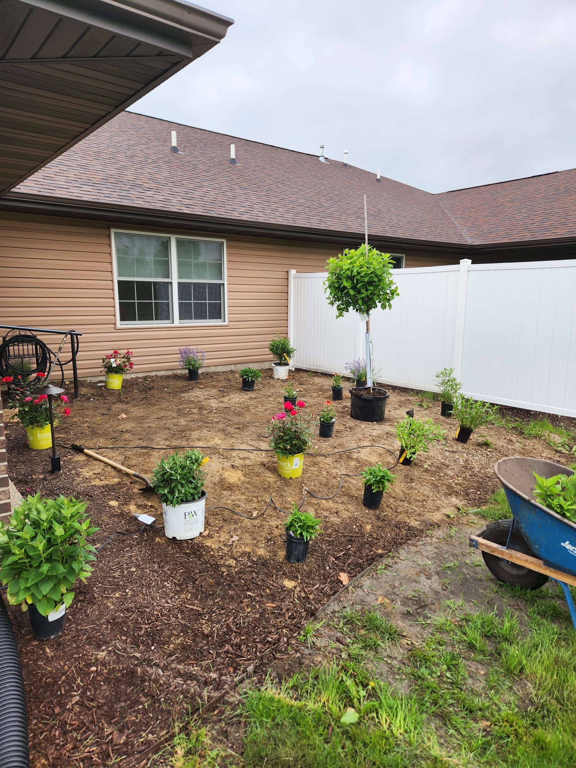 Garden bed with plants in pots, some planted. Mulch and white fence are visible. Cloudy day.