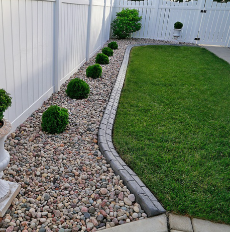 A landscaped garden bed with rounded shrubs, pebbles, and lawn edged by a border. White fence in the background.