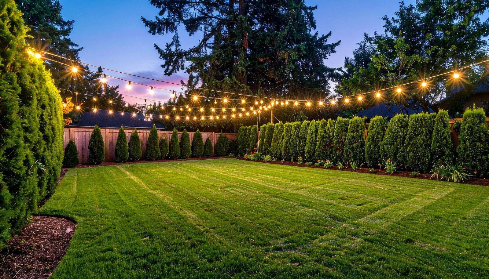 Green lawn backyard with string lights, trimmed hedges, and trees at dusk.
