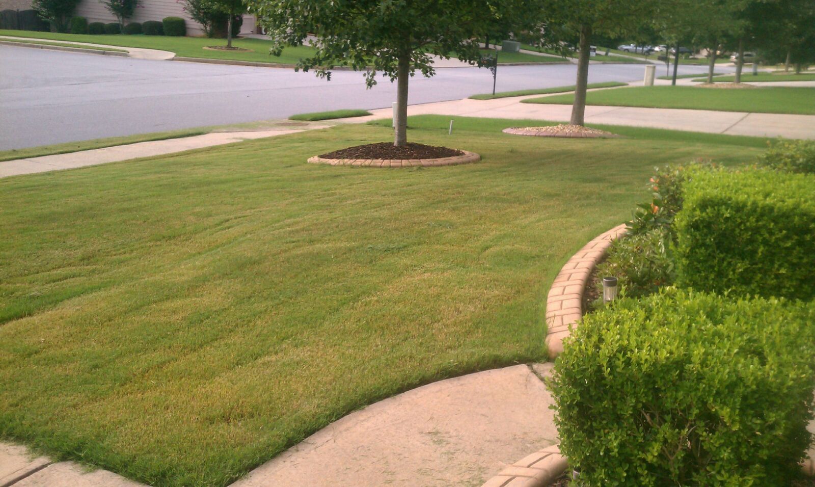 Green lawn with trees and bushes in front of a sidewalk and road.