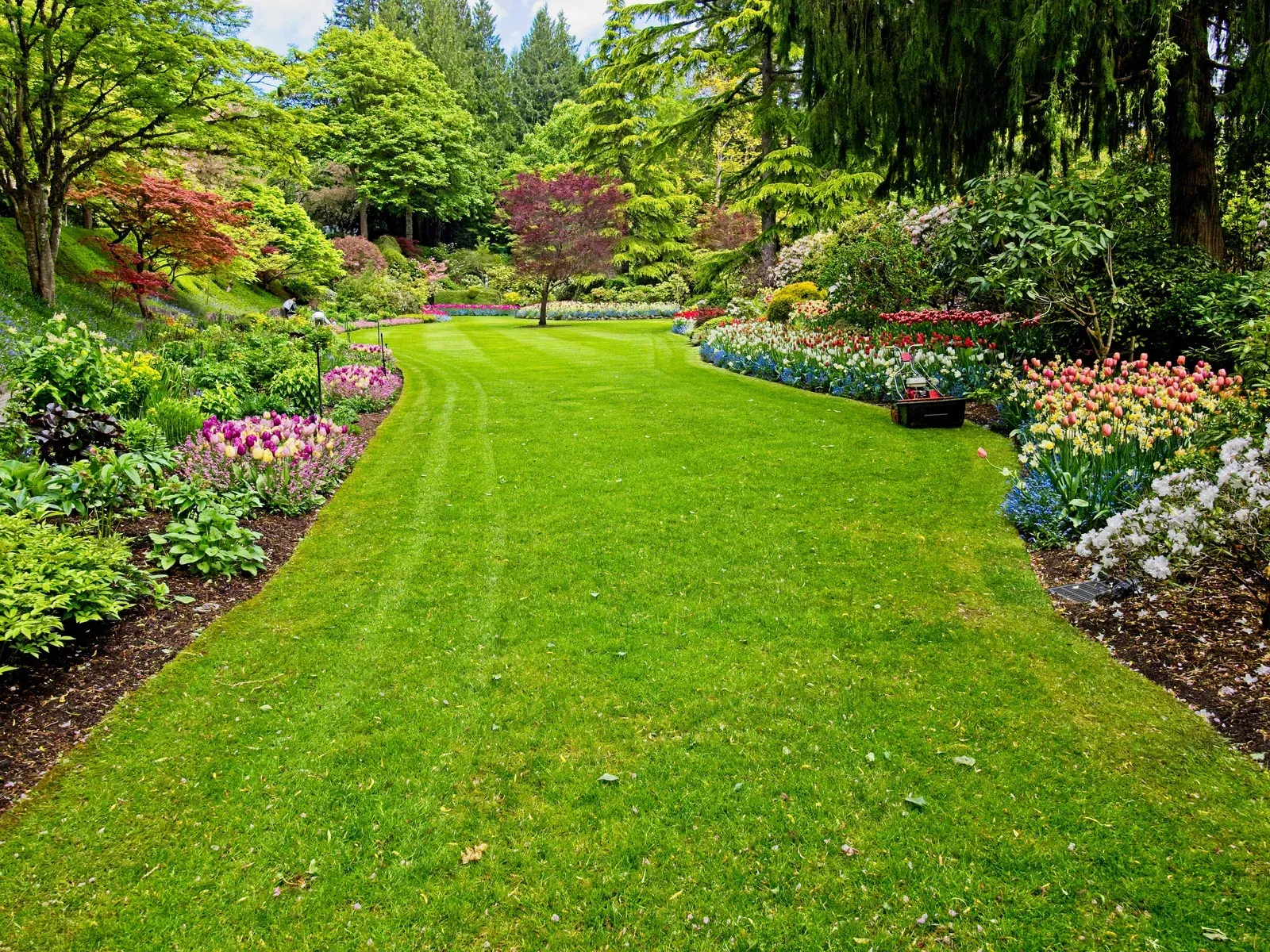 Lush green lawn pathway winding through a vibrant garden with colorful flowers and trees.