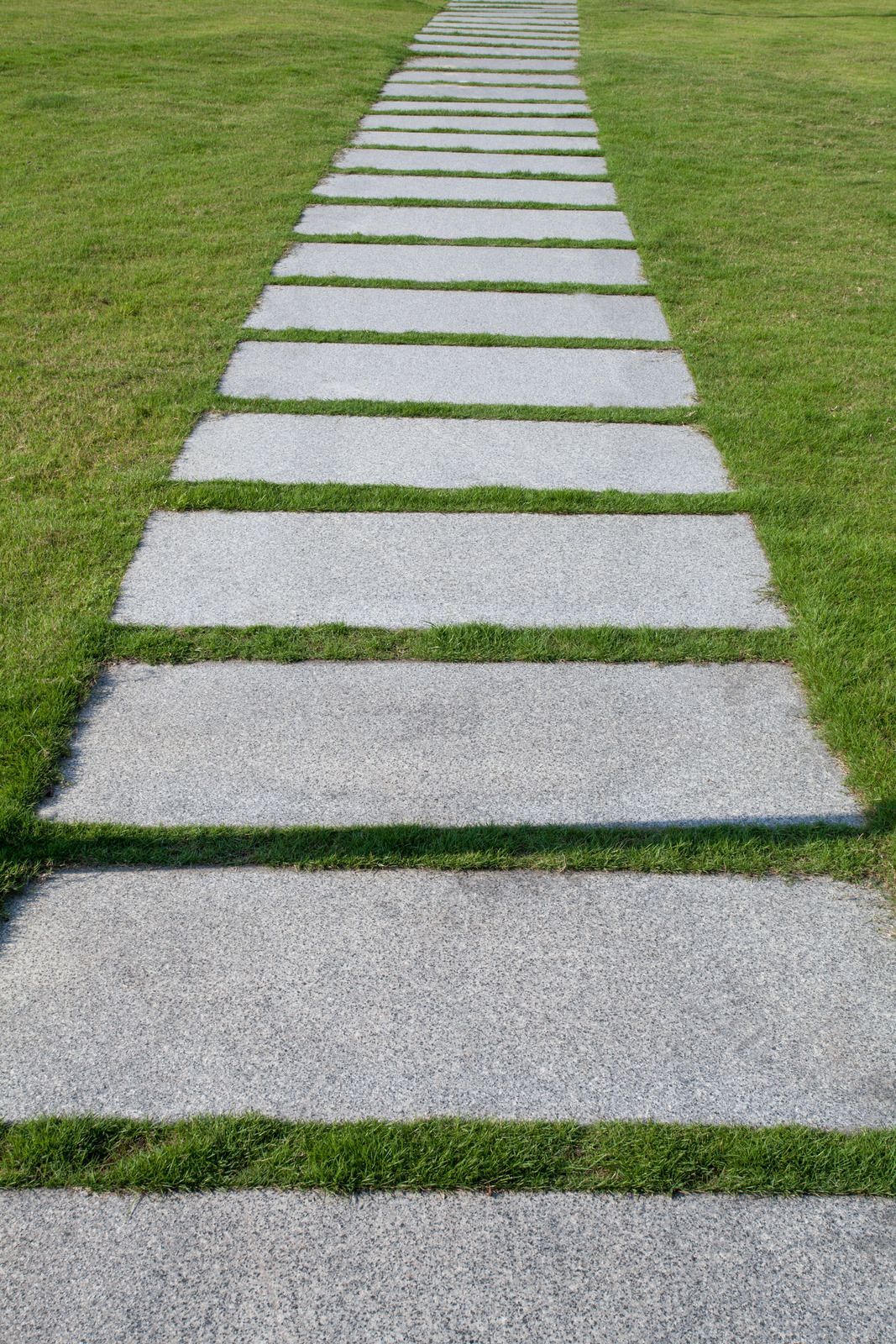 Stone path, rectangular pavers, through green grass.