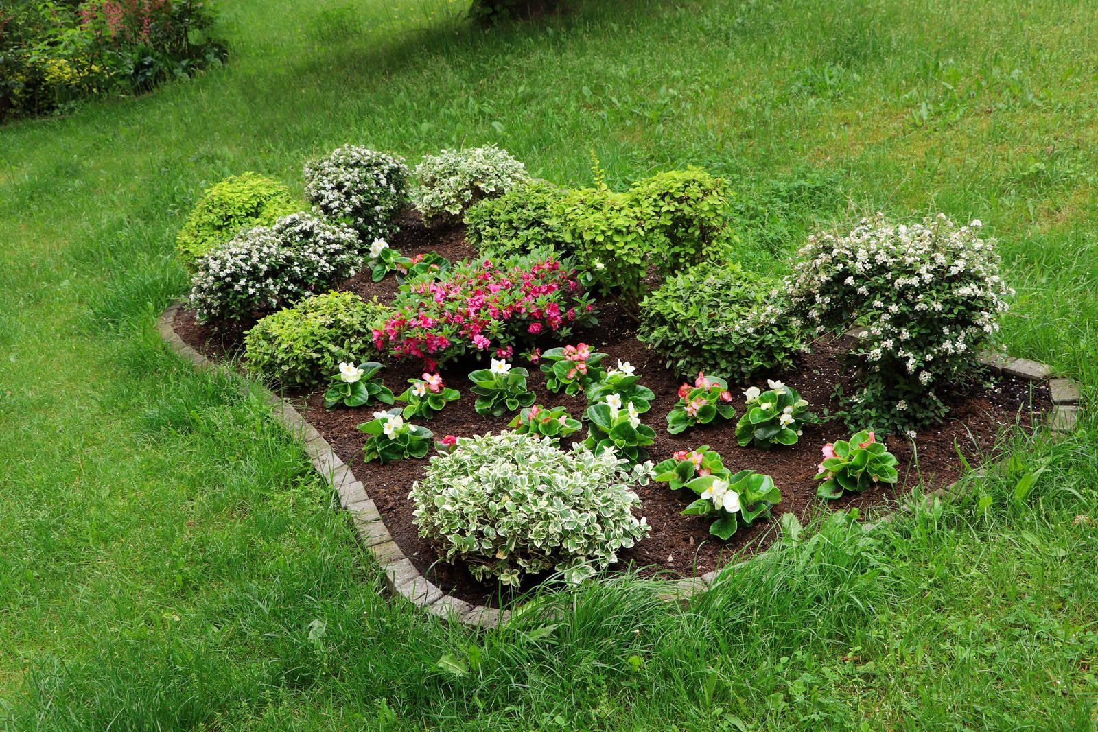 Garden bed with green and pink flowering plants surrounded by green grass.