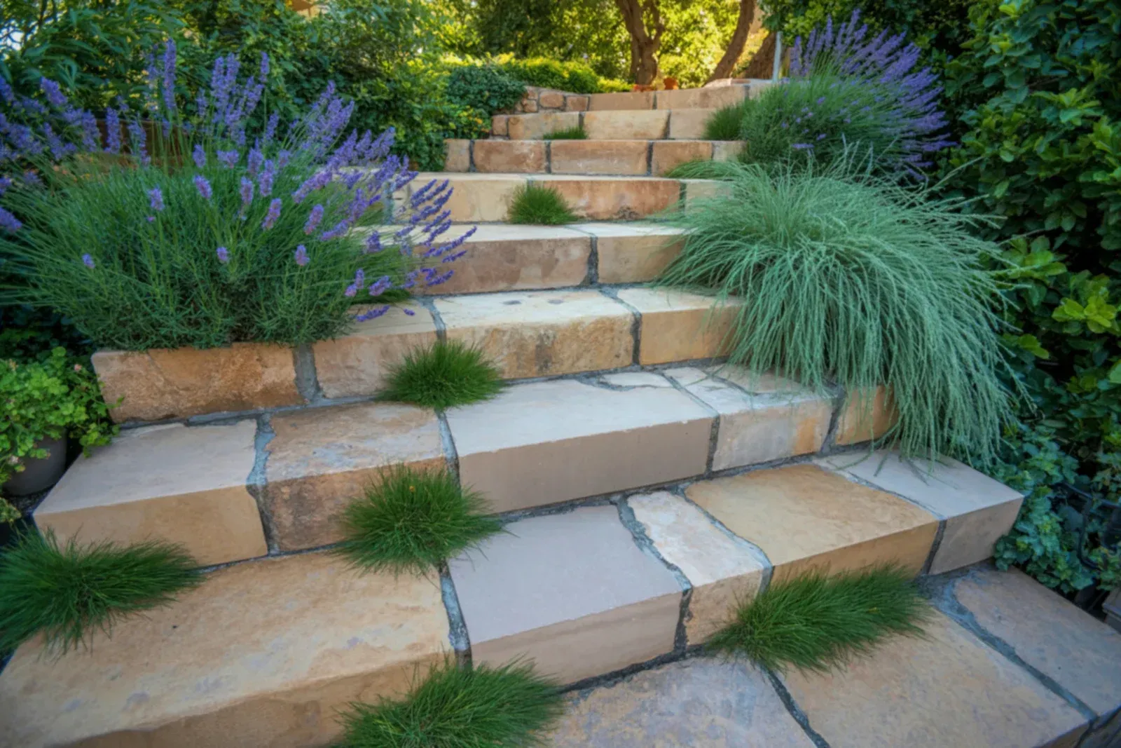 Stone steps with lavender and green grass accents in a garden setting.