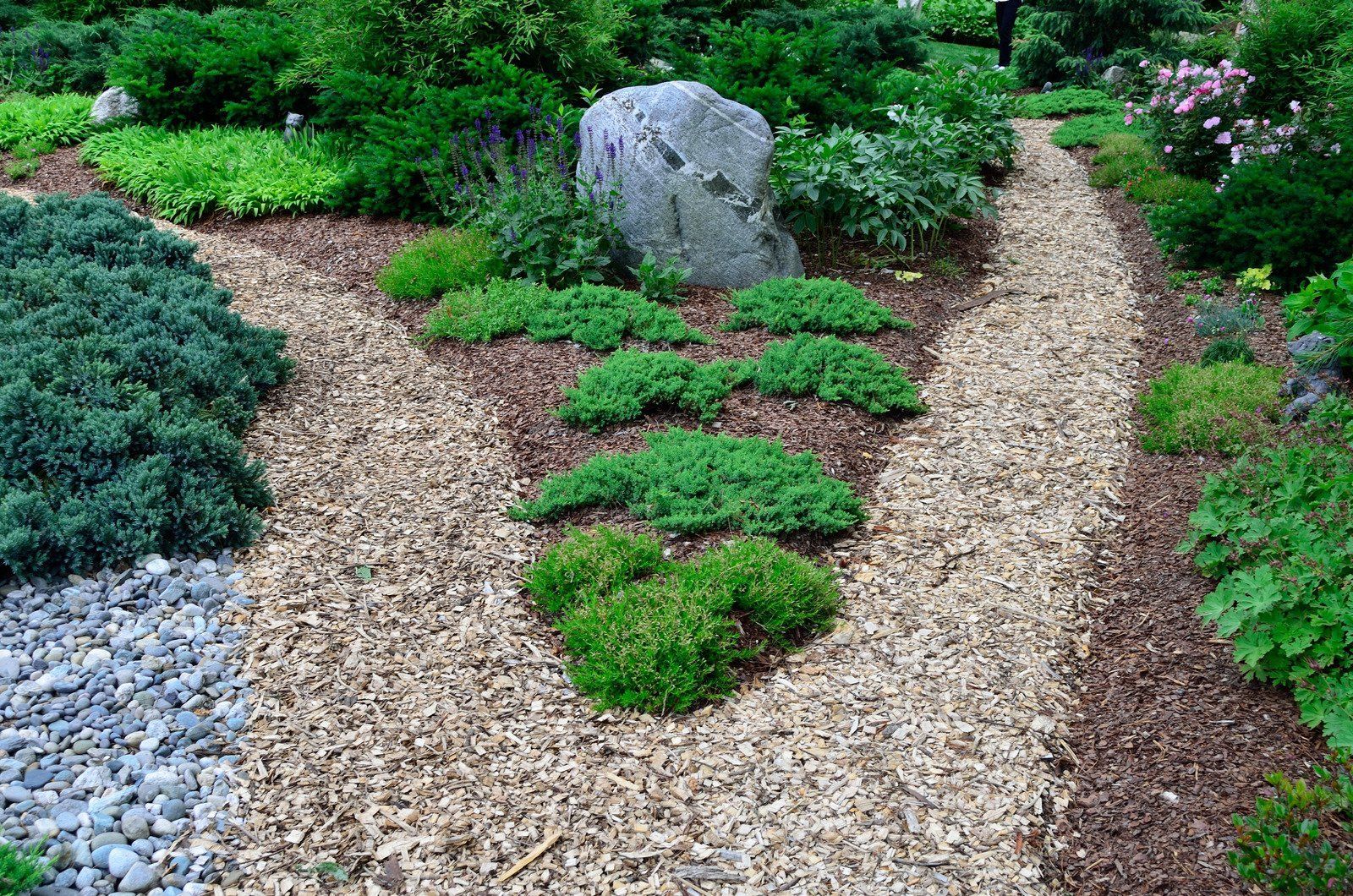 Stone-lined garden path with wood chip and rock beds, lush green plants, and a large boulder.