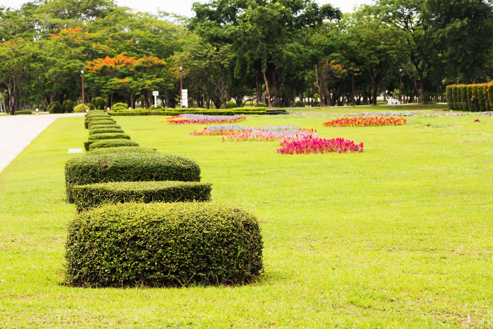 Green manicured lawn with rows of trimmed hedges and flower beds, trees in the background.