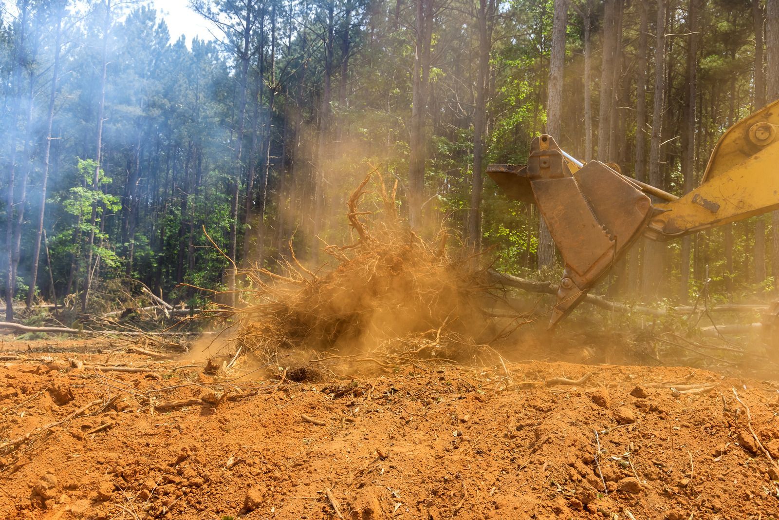 Woman in dark green uniform smiles, holding papers, amidst indoor plants.