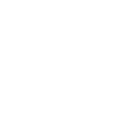 ICONA LOGO