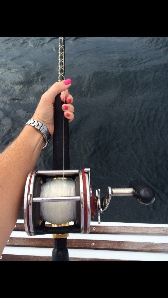 Fishing Destin, FL | Destin Harbor | Charter Boat Relentless | www.charterboatrelentless.com | A Luxury Charter Boat at Everyday Rates | 65' x 20' | Did I Feel a Bite?