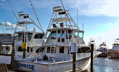 Fishing Destin, Charter Boat Sunrise, Charter Boat First Light, Charter Boat Outta Line, Deep Sea Fishing, Destin Harbor, Fleet, Marina