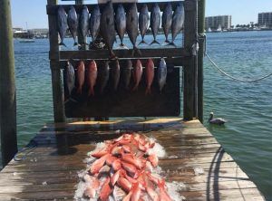 Fishing Destin, FL | Destin Harbor | Charter Boat Relentless | www.charterboatrelentless.com | A Luxury Charter Boat at Everyday Rates | 65' x 20' | That's a mess!