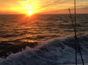 Fishing Destin, FL | Destin Harbor | Charter Boat Relentless | www.charterboatrelentless.com | A Luxury Charter Boat at Everyday Rates | 65' x 20' | Headed Home with a Full Fish Box!