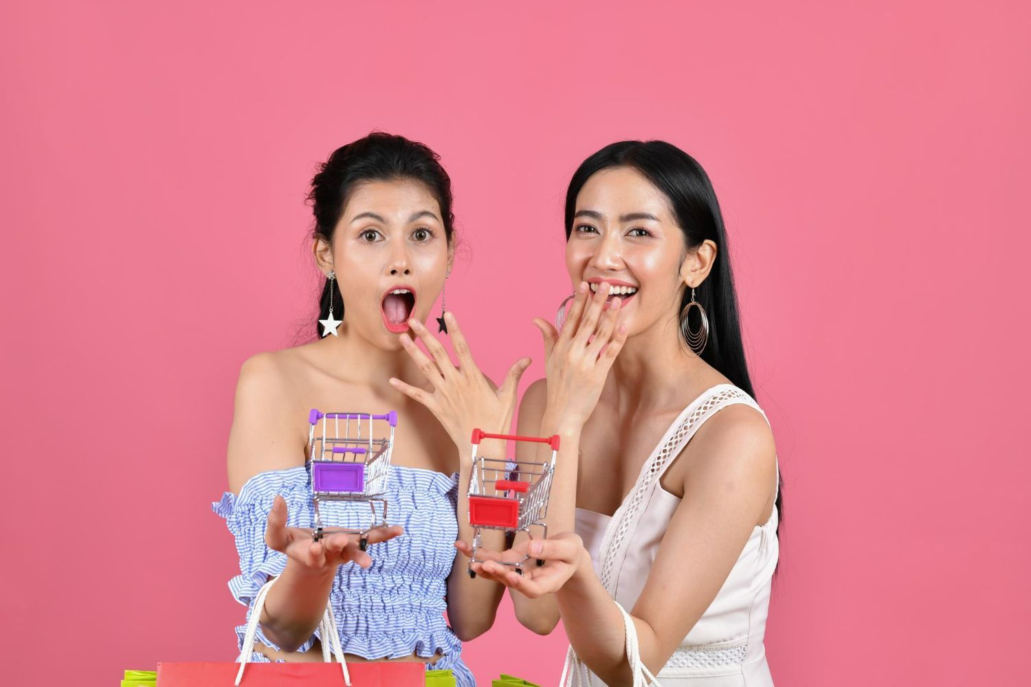 Two women are holding shopping bags and shopping carts.