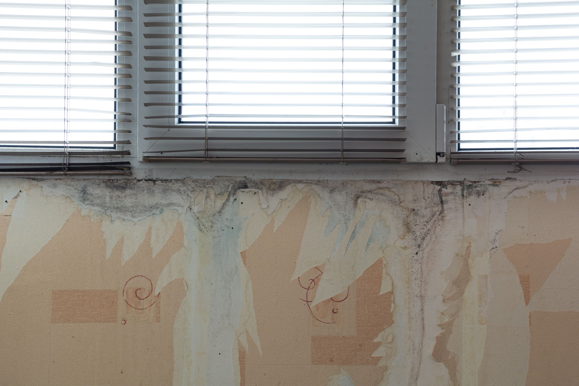 window in basement with a water leak