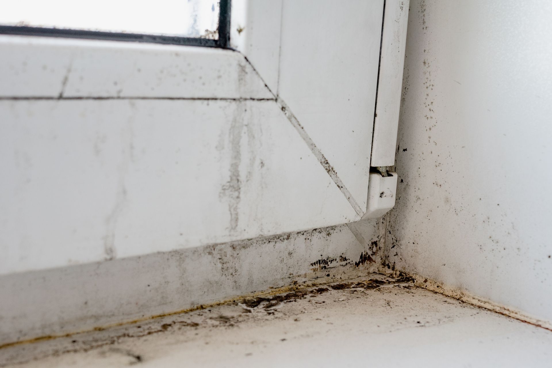 Window leak that has caused mold to grow.