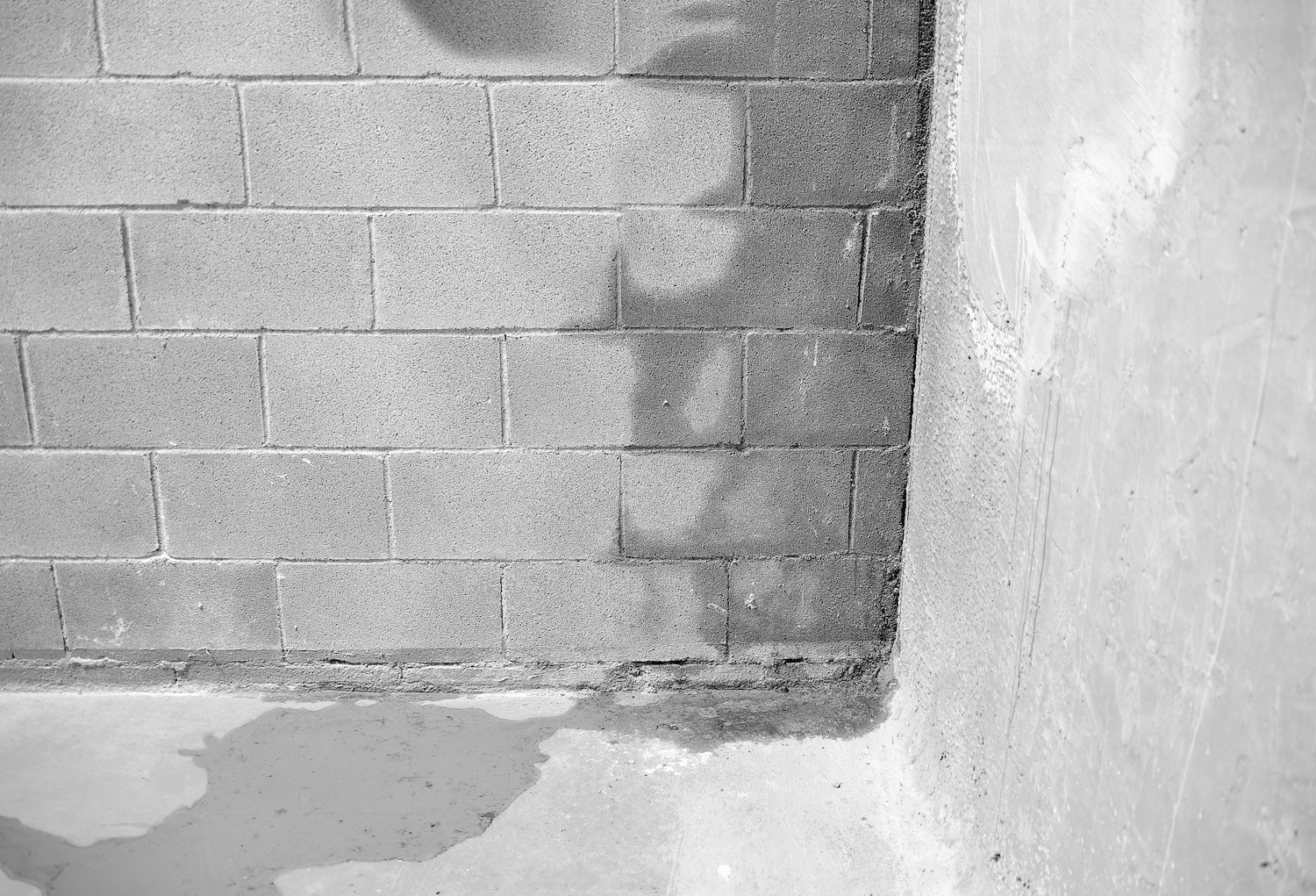 basement waterproofing issues