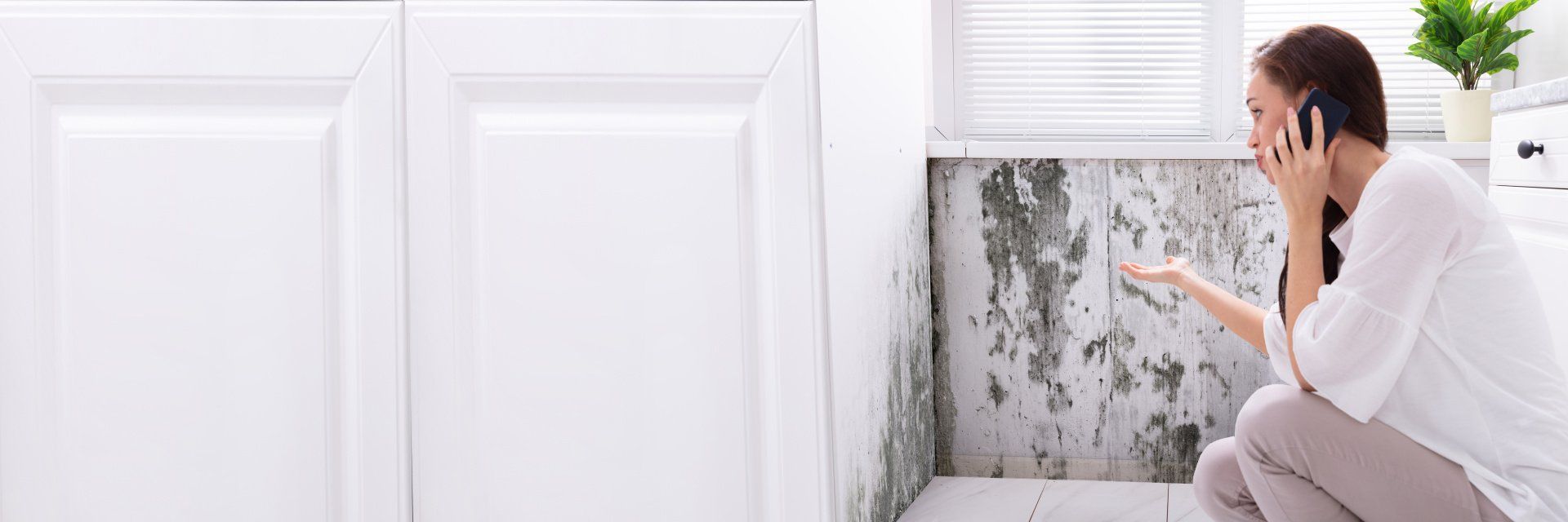 10 signs that you need have mold in your home